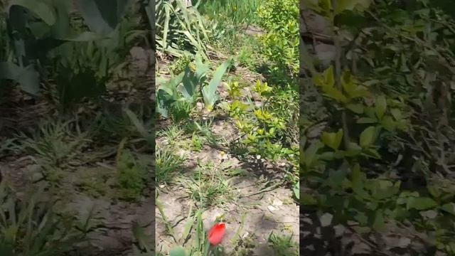 Уважайте чужой труд