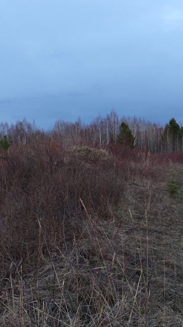 Открытие охоты