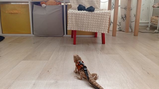 Нужная вещь 😊