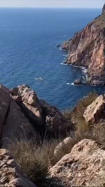 VID_20260425_170301_118.mp4