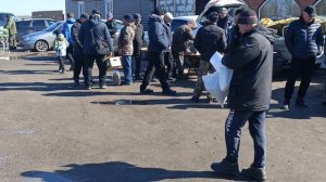 Ярмарка голубей в Поворино 25.04.2026. Вторая часть, награждение.