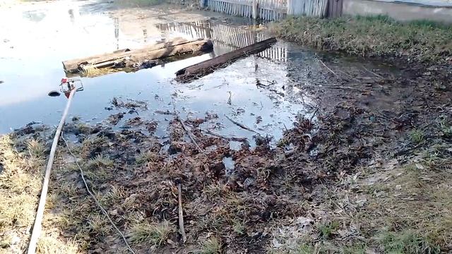 Откачиваю опять двор и обзор работ во дворе