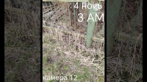 пять ночей с чипсами 4-я ночь