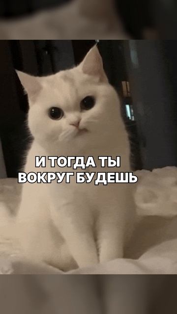 КАКУЮ СТОРОНУ ВЫБЕРЕШЬ ТЫ?