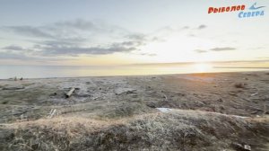 ✅ ОХОТА НА ГУСЯ В АРХАНГЕЛЬСКОЙ ОБЛАСТИ 2025 l БЕЛОЕ МОРЕ #РыболовСевера 4K60H