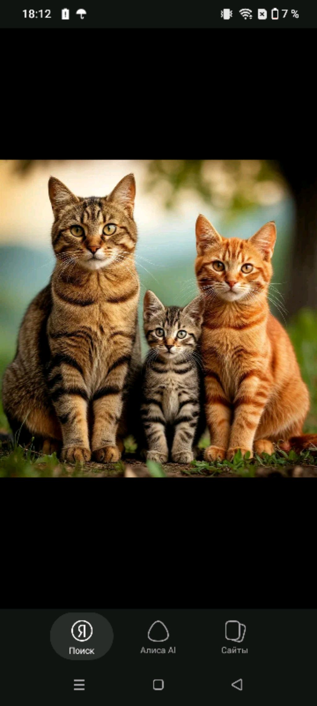 ты спишь 🤣🤣🤣