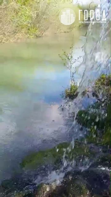 В Краснодарском крае не могут остановить сток нефтепродуктов в реку Абин