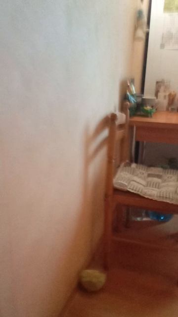 супер рыгатель 3000