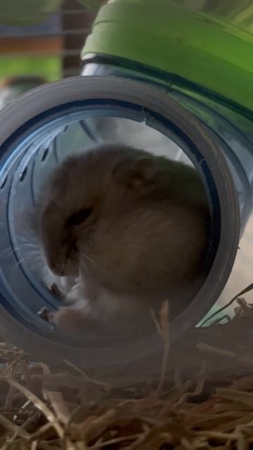 Когда внезапно разбудили