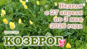 КОЗЕРОГ | ТАРО прогноз на неделю с 27 апреля по 3 мая 2026 года