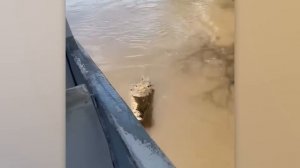 Природа Разбушевалась