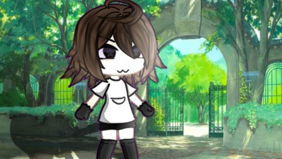 Сборник Видео