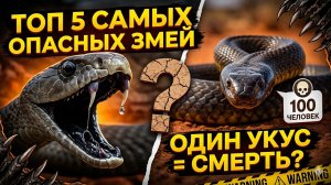 ТЫ НЕ ВЫЖИВЕШЬ! 🐍 ТОП 5 Самых Опасных Змей на Планете