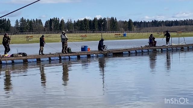 Поимки в разных точках