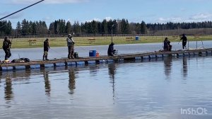 Поимки в разных точках
