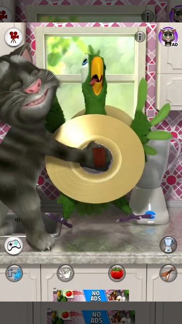 мой говорящий Пьер попугайчик 🦜