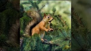 Путник на концерт пошёл или Солнышко проснулось