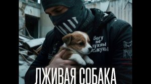 Лживая собака