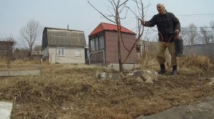 Начало апреля