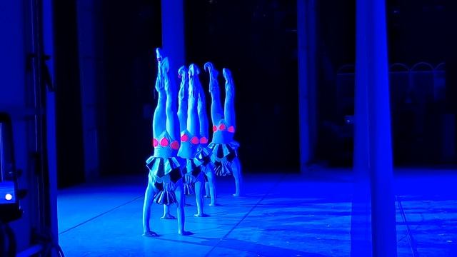 Танец маленьких лебедей