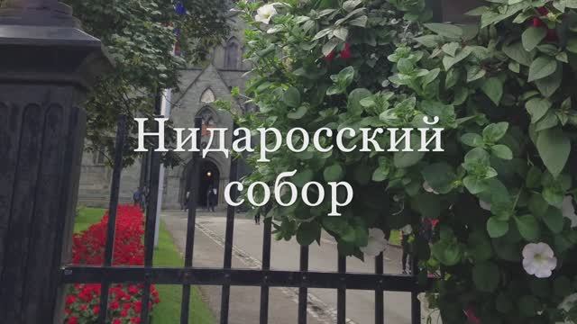 Нидаросский собор #еленамалинина