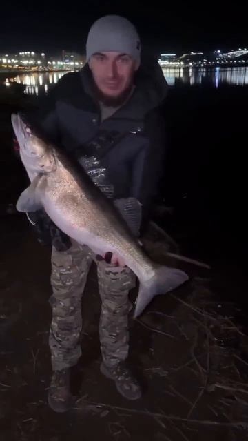 Клип @zatropheem