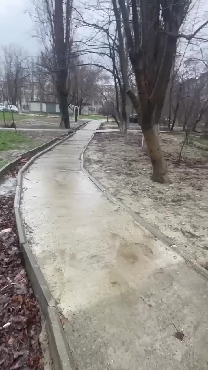 ФАС считает, что действия подрядчика по контракту добросовестные, выводы независимой экспертизы