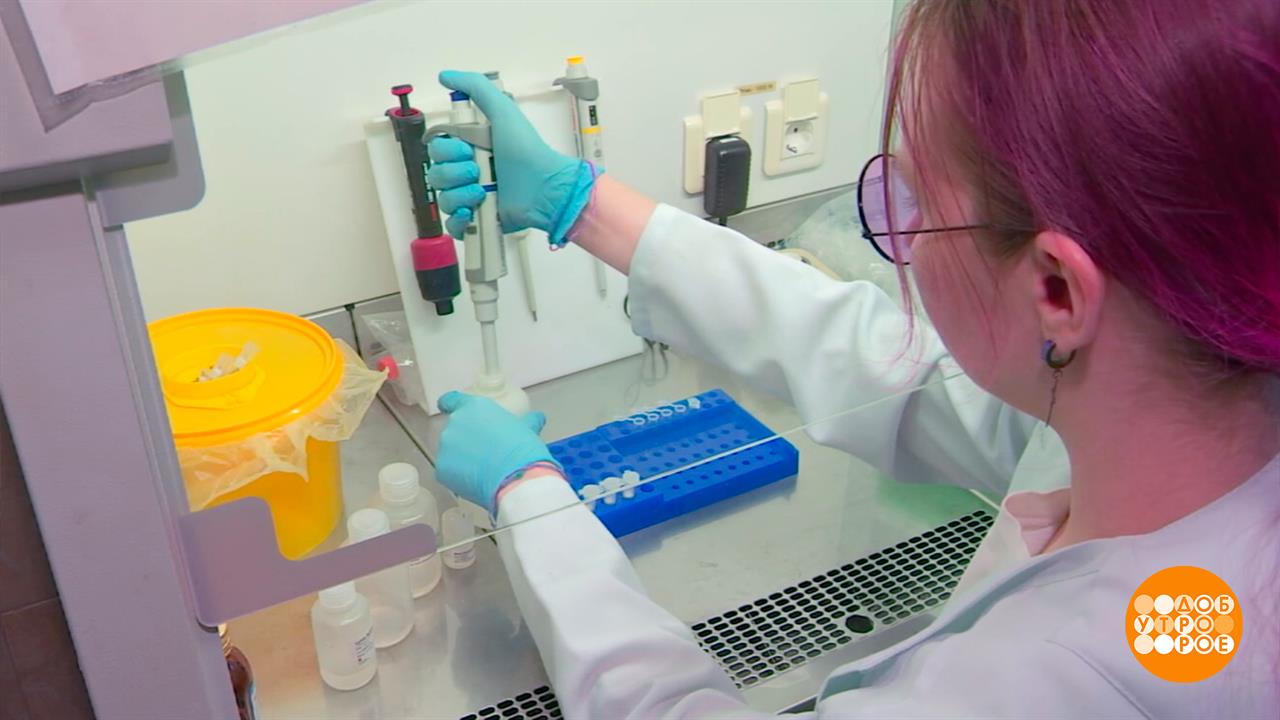 О чем расскажет ДНК? Доброе утро. Суббота. Фрагмент выпуска от 25.04.2026