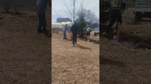 футбол с братьями