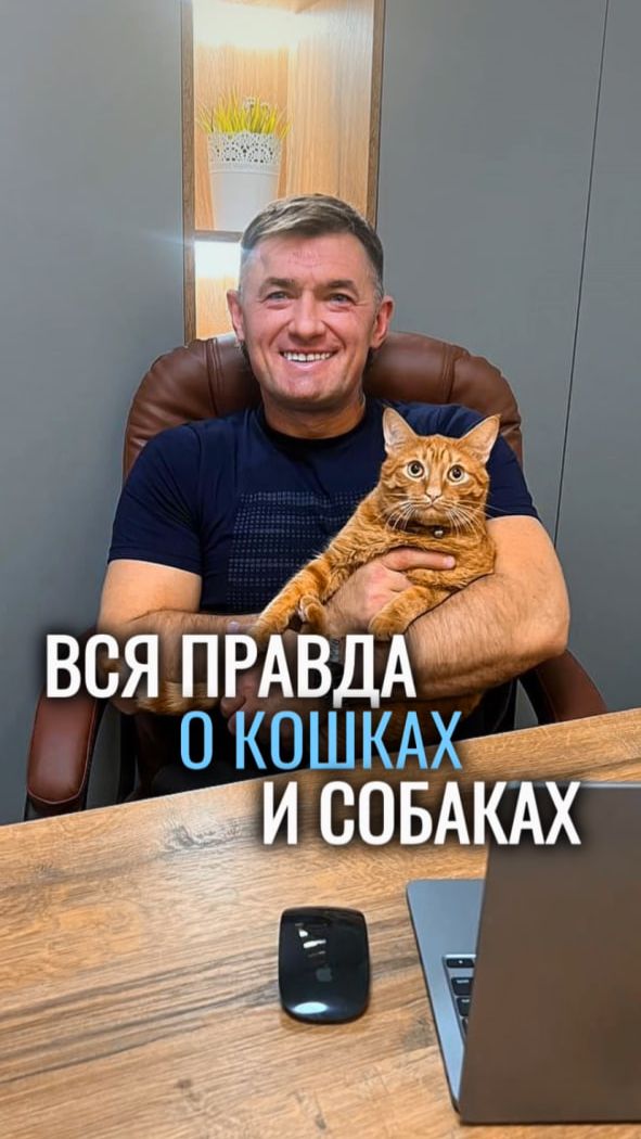 Вся правда о кошках и собаках