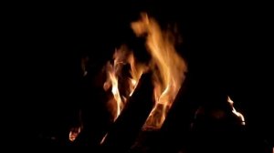 Музыка у костра. Композиция: Иван Трегуб (Ber)