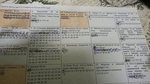 бинго весна идёт отчёт 7