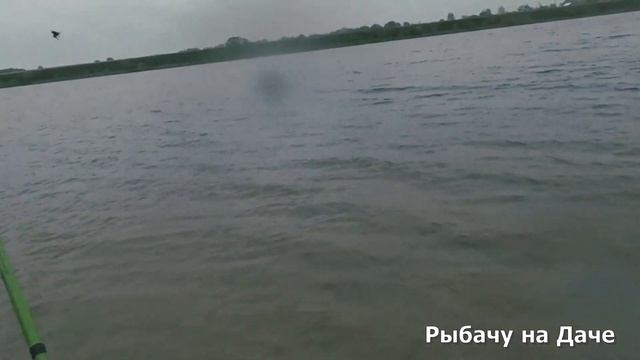 Рыбачим на Леща. Река одарила рыбным наплывом. Поймал несколько Лещей