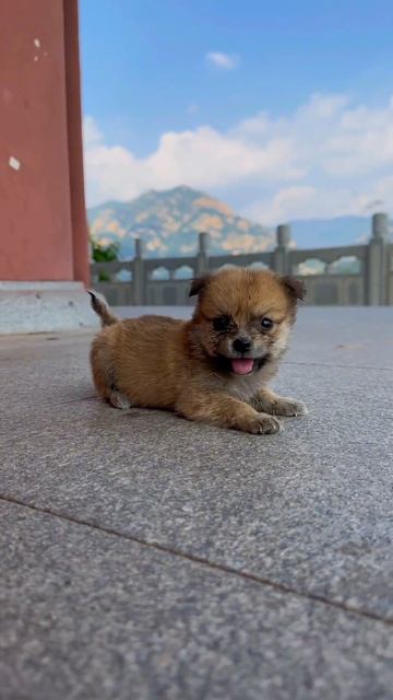 Смешное видео