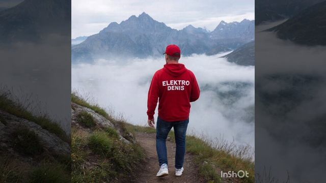 Electro Denis - Не учите меня жить