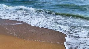 Черное море. Пляж Витязево. Рыбачим в Астрахани