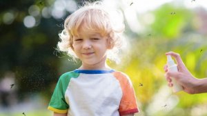 НЕЖЕЛАТЕЛЬНЫЕ «ГОСТИ».  О насекомых, как они появились на Земле и какова цель их существования?