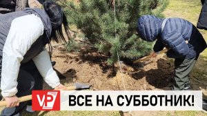 В ЦПКИО ВОЛГОГРАДА ВЫСАДИЛИ РЕДКИЕ ДЕРЕВЬЯ