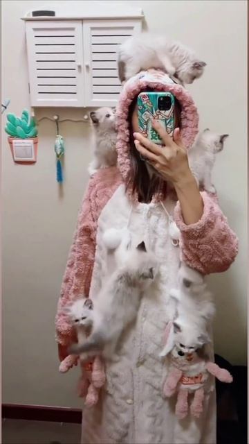 Смешные коты #119-4