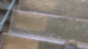 Теорема ЖКХ_Подъезд_2026.04.25_14-45