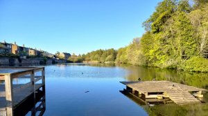 Anna Akhmatova, The Stray Dog Cafe