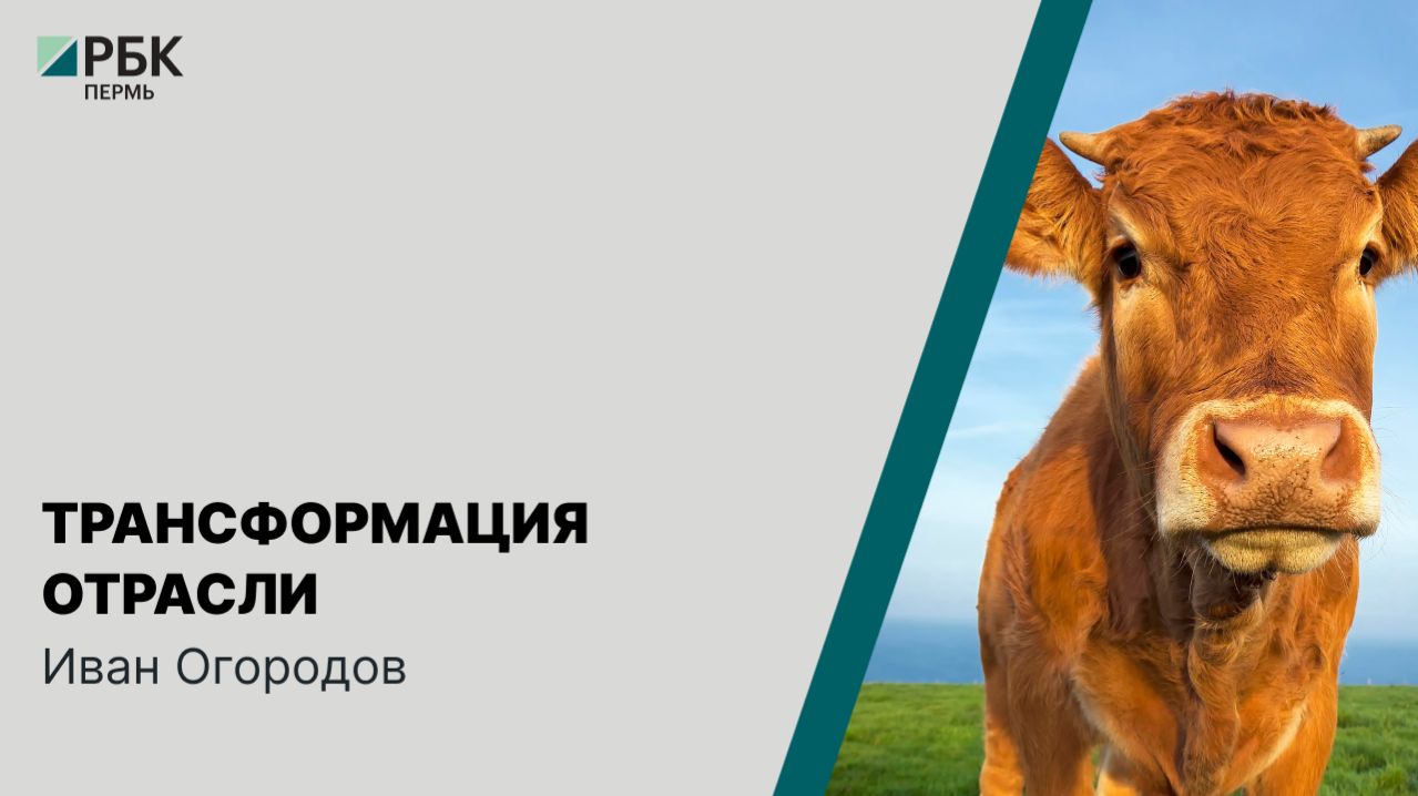 Трансформация отрасли | Иван Огородов