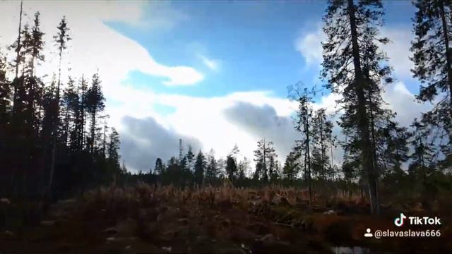 Костомукша когда тут был лес , Россия Карелия (2)