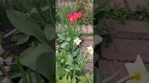 А счастье начинается с тебя Любимая хатка