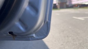 IMG_2326 рекстон серебро