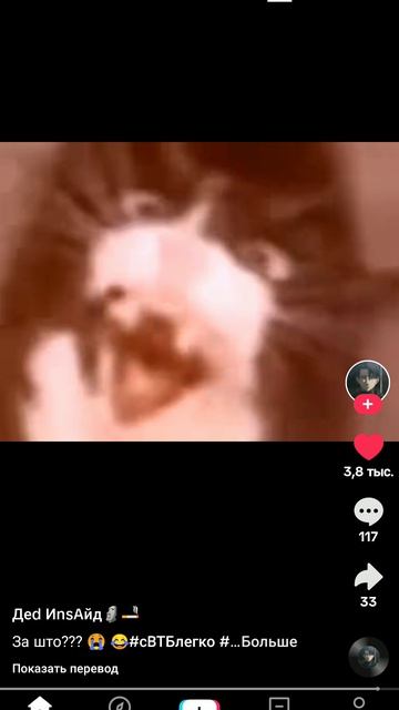 _А_АААААААААААААААААААА