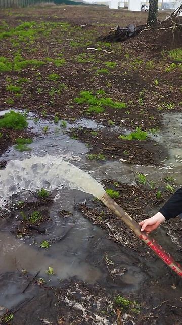 Вор обл Бобров теплицы 1