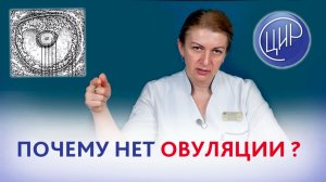 Почему не происходит овуляция. Акушер-гинеколог ЦИР, Светлана Николаевна Дементьева.