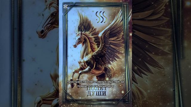 video_2026-03-08_09-27-03