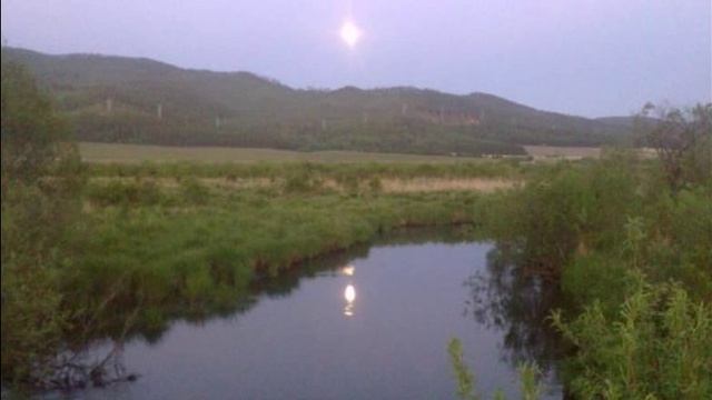 Родина моя безмолвная...